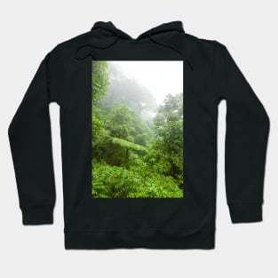 Misty rainforest in Monteverde cloud forest reserve Hoodie